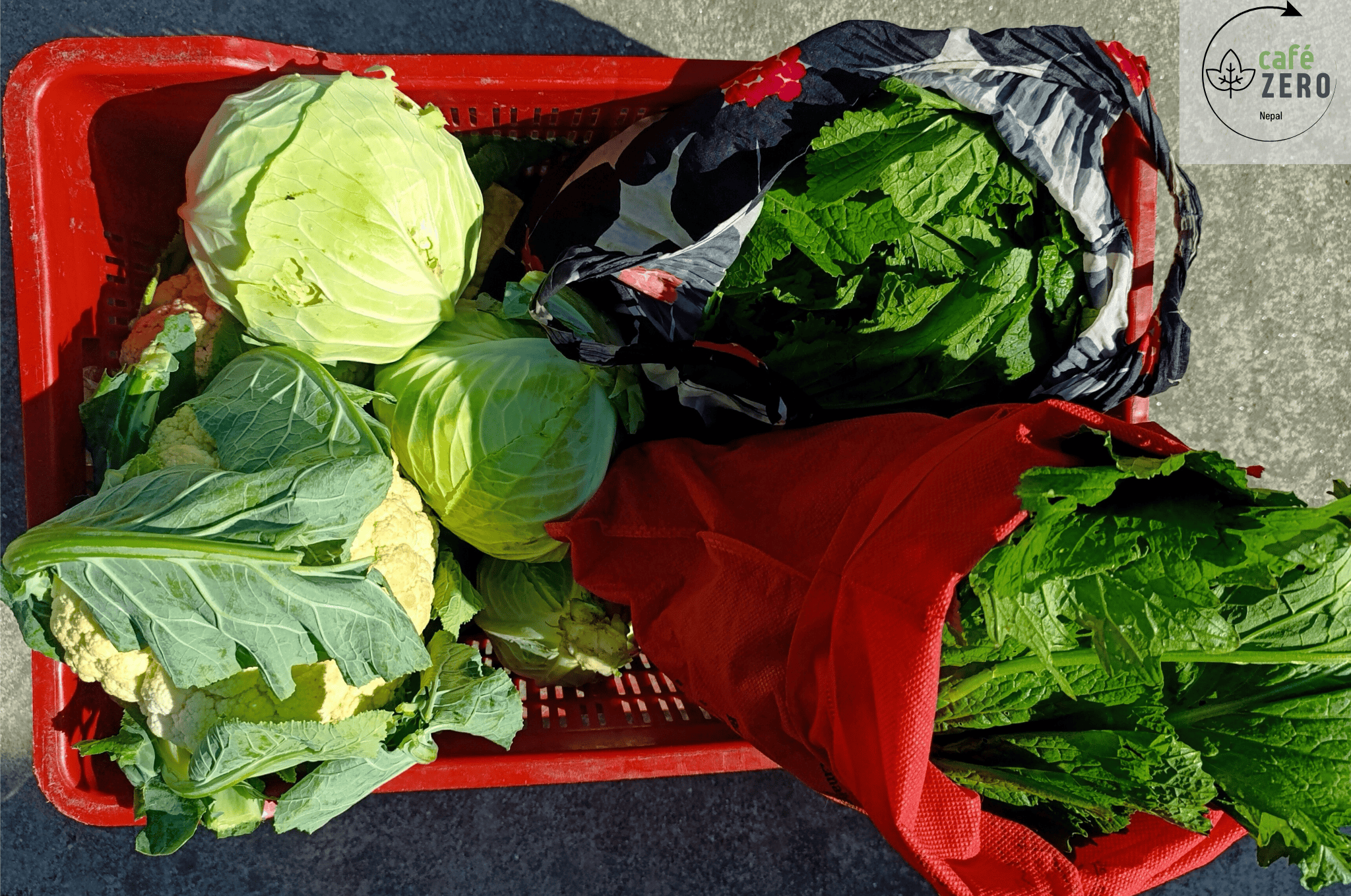 Sustainable Vegetable Sourcing - Fresh From Duwakot